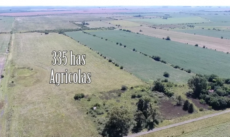 335 has  Agricolas Las Moscas   Entre Rios