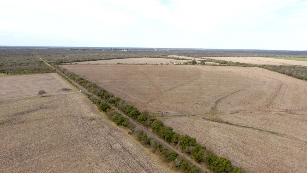 238 has Mixtas en Entre Rios