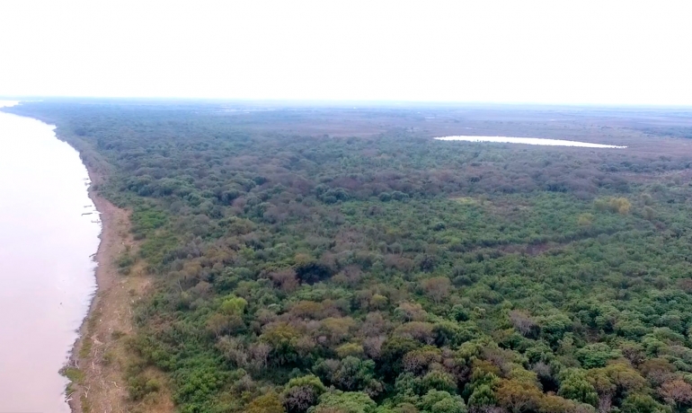 Isla 5500 has sobre el Río Paraná | Alta Capacidad Productiva